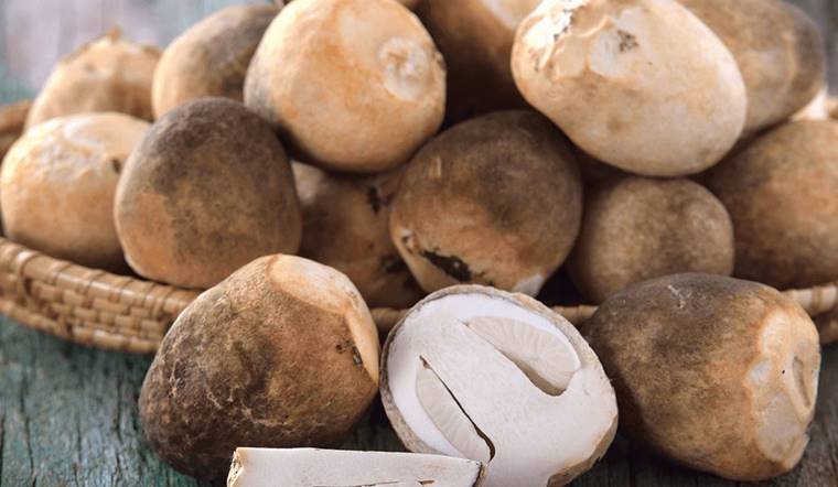 Nấm bao nhiêu calo? Ăn nấm có giúp giảm cân không?