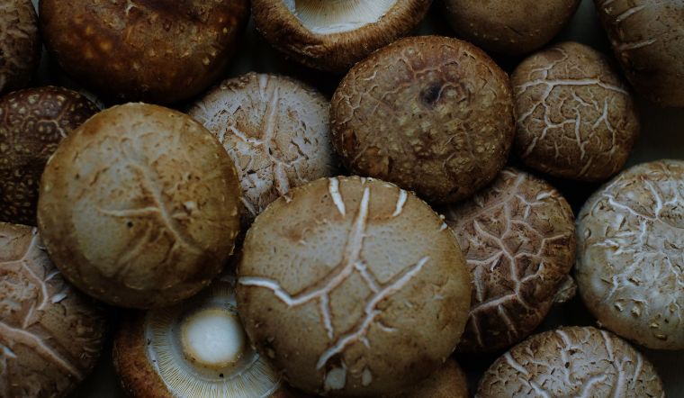 Nấm hương bao nhiêu calo? Ăn nhiều có tốt không?