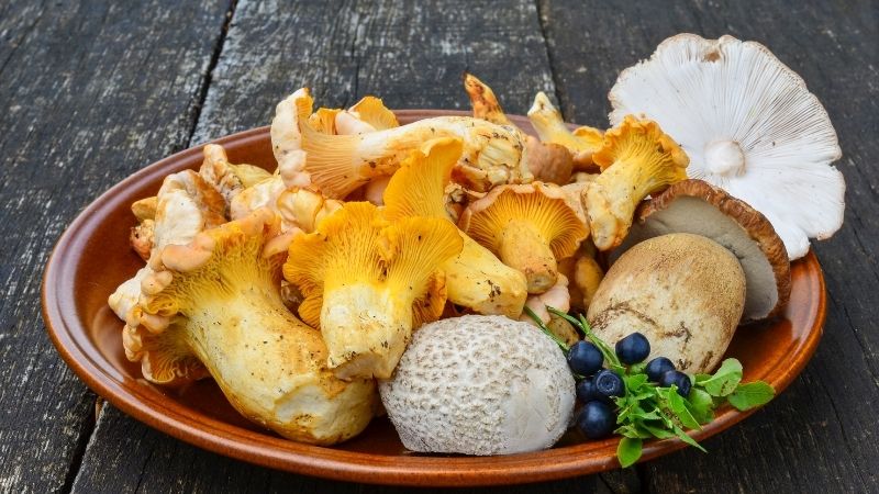 Một số đối tượng cần đặc biệt lưu ý khi ăn nấm