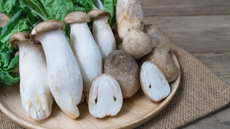 Sơ chế và chế biến nấm đúng cách