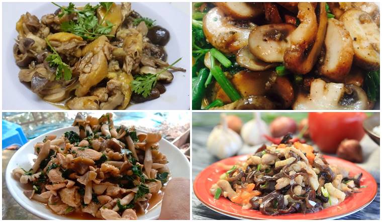 Tổng hợp 6 cách làm thịt gà xào nấm đơn giản cho bữa cơm