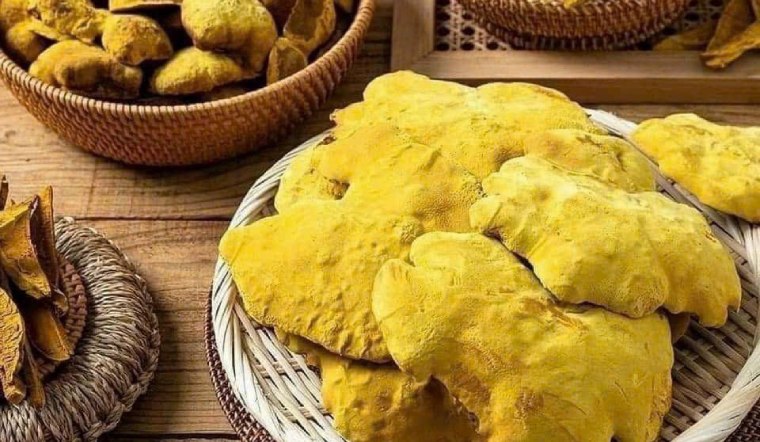 Nấm thượng hoàng là gì? Cách sử dụng nấm thượng hoàng