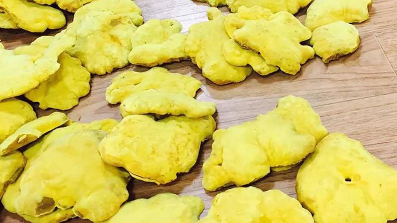Giới thiệu về nấm thượng hoàng