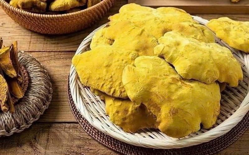 Đặc điểm nhận dạng nấm thượng hoàng