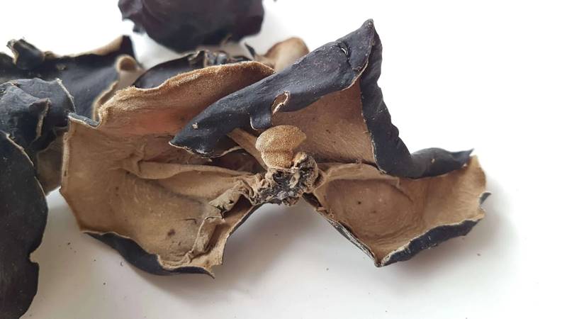 Những lưu ý khi ăn nấm mèo