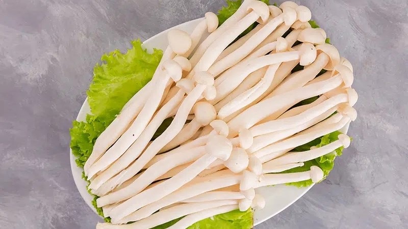 Ăn nhiều nấm hải sản có tốt không?