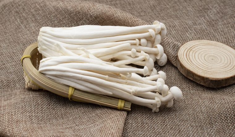 100g nấm hải sản bao nhiêu calo? Ăn nhiều nấm hải sản có tốt không?