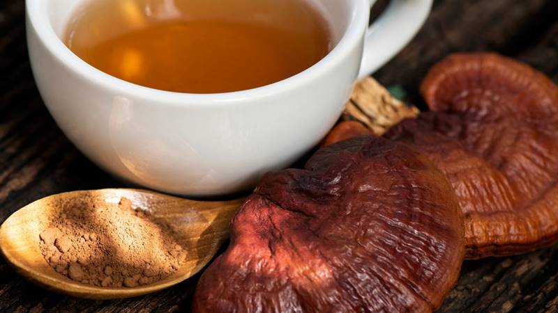 Cách uống nấm linh chi hiệu quả Cách uống nấm linh chi hiệu quả