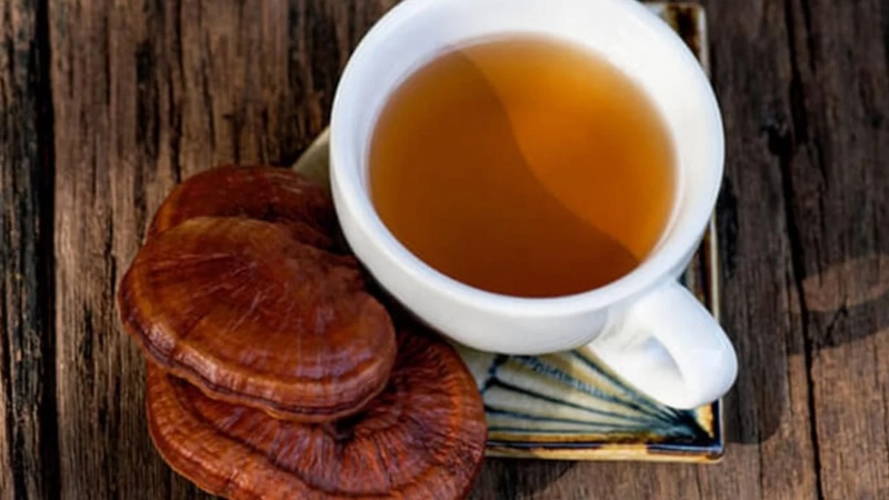 Tác hại của nấm linh chi đối với hệ thần kinh