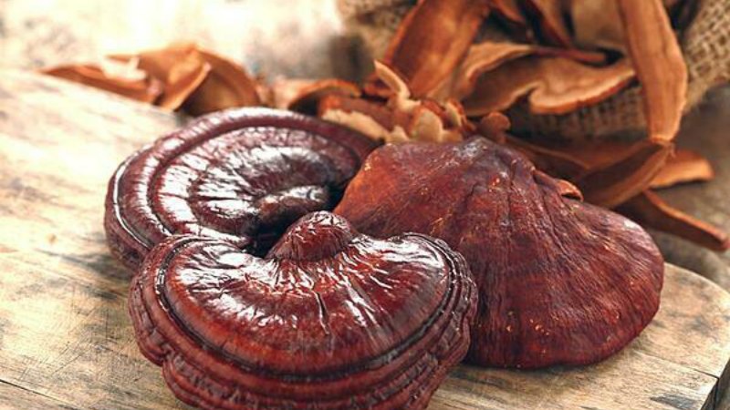 Cách sử dụng nấm linh chi an toàn
