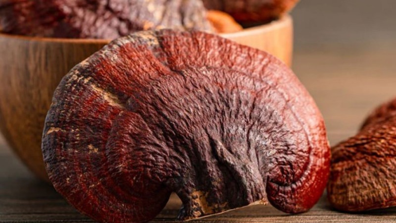 Một số câu hỏi thường gặp