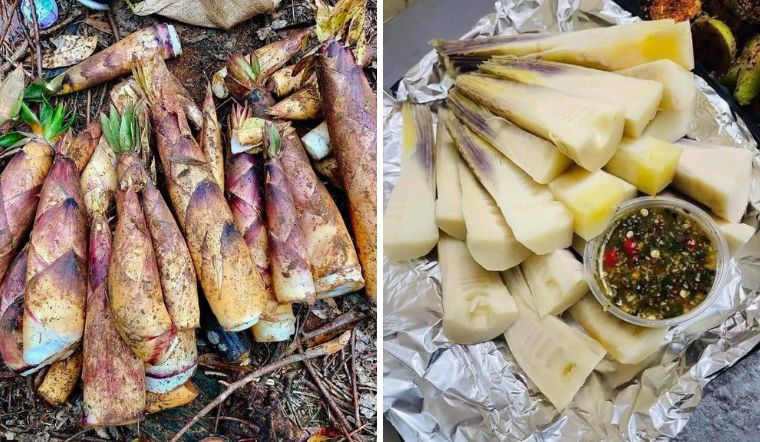 Măng vầu là gì? Cách ăn măng vầu đặc sản Tây Bắc