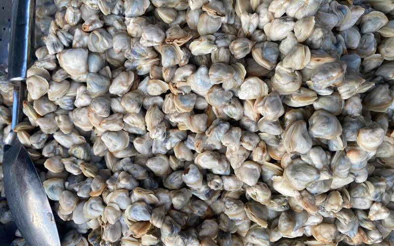 Cách trần hến qua nước sôi