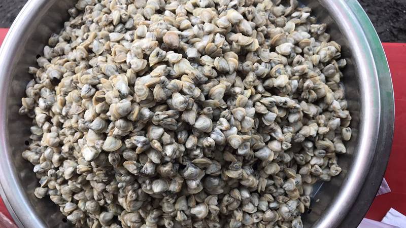 Các lưu ý khi bảo quản hến