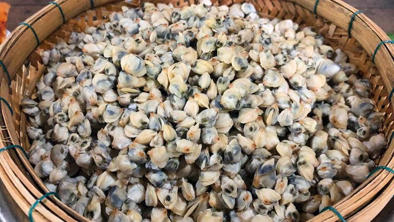 Cách làm sạch bùn đất, cát trong hến.
