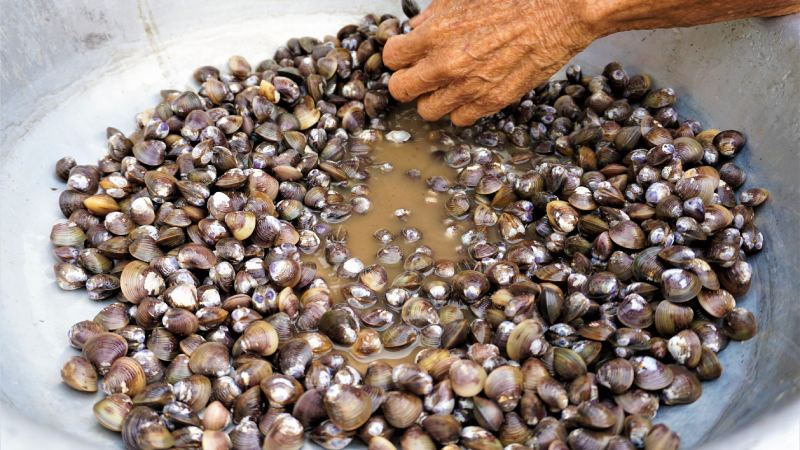 Giá trị dinh dưỡng của hến