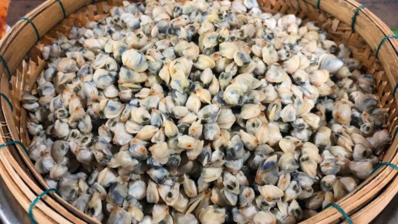 Những lưu ý khi ăn hến