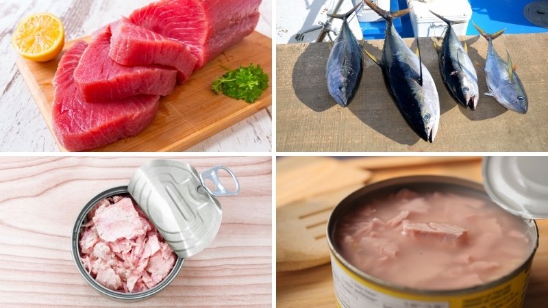100g cá ngừ có bao nhiêu calo?