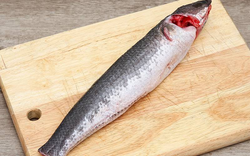 Lưu ý khi ăn cá lóc để tốt cho sức khỏe