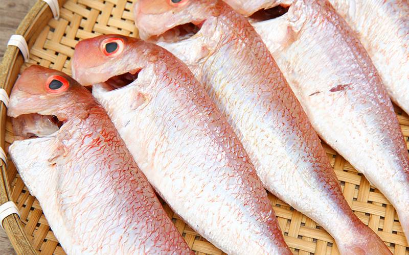 Các loại cá khác tốt cho bà bầu