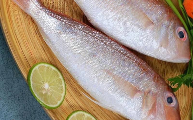 Giá trị dinh dưỡng của cá hường