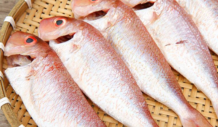 Bà bầu ăn cá hường được không? Lợi ích và những lưu ý