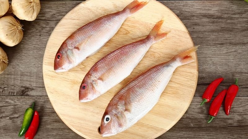 Lợi ích của cá hường đối với bà bầu