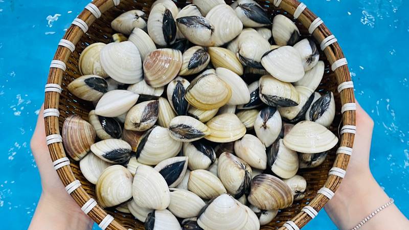 Cách bảo quản nghêu bằng tủ đông