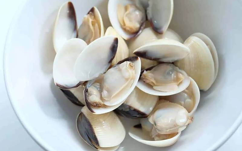 Cách bảo quản nghêu sống