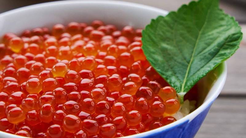 Ưu điểm và nhược điểm của trứng cá hồi đông lạnh