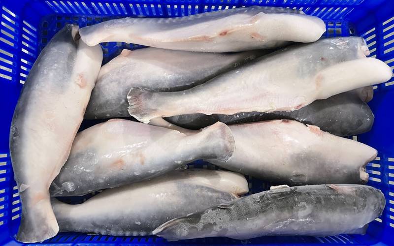 Ăn cá basa cung cấp protein chất lượng cao