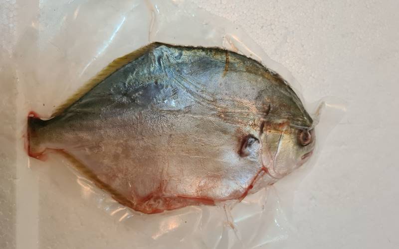 Cách chọn cá chim tươi ngon