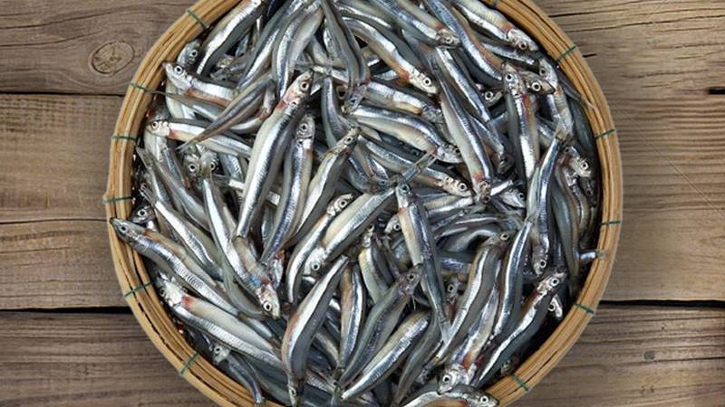 Giúp xương chắc khỏe