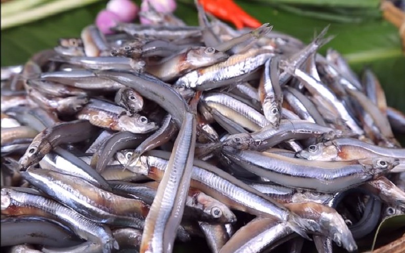 100g cá cơm tươi chứa khoảng 130 – 210 calo