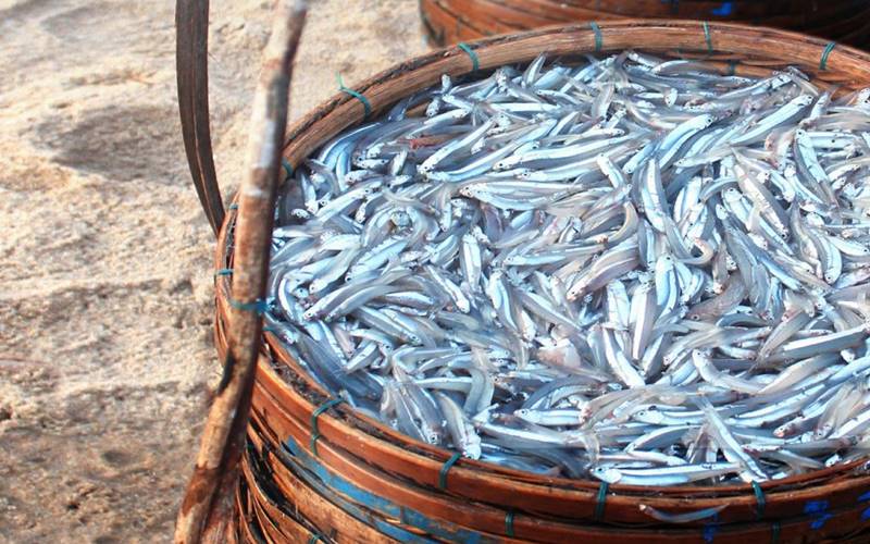 Câu hỏi thường gặp