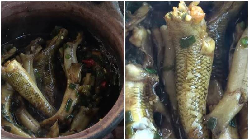 Thưởng thức cá bống kho dừa