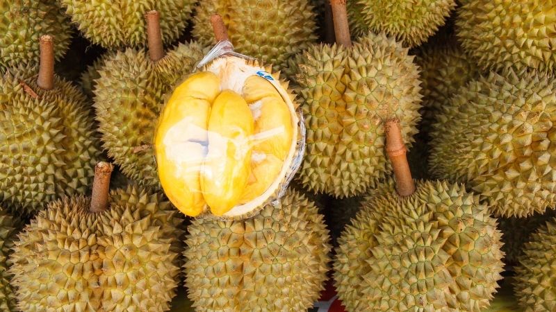 Tình hình giá sầu riêng thị trường quốc tế Tình hình giá sầu riêng thị trường quốc tế