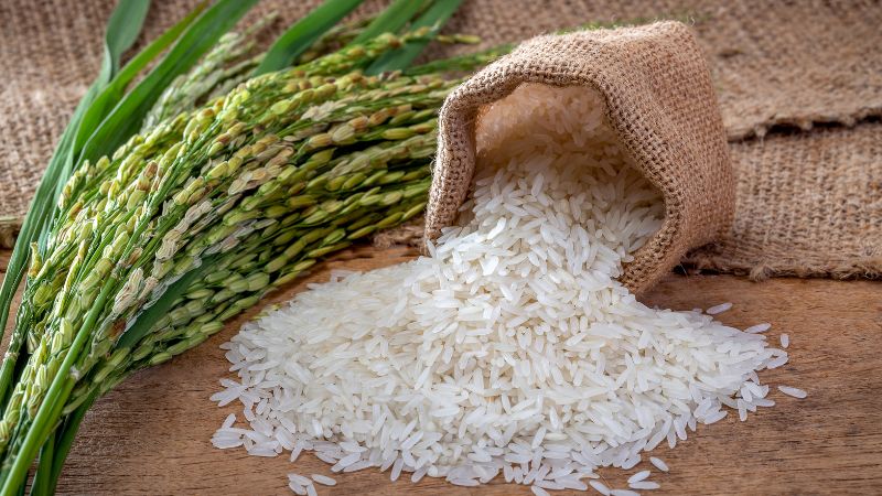 Giá lúa gạo trong nước