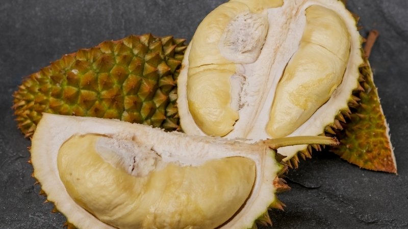Giá sầu riêng hôm nay trong nước Giá sầu riêng hôm nay trong nước