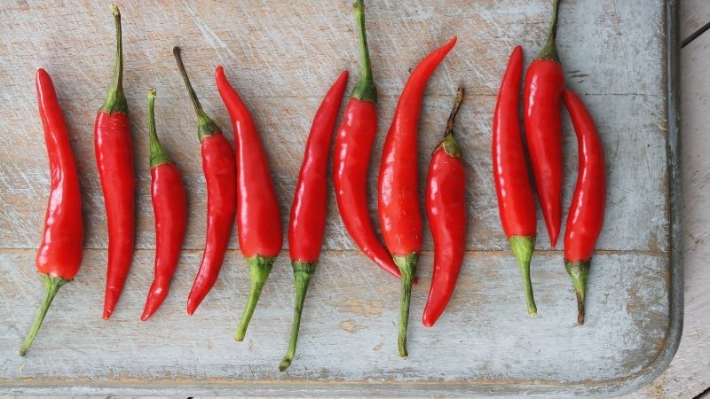 Giá ớt hôm nay 28/03/2025 trong nước