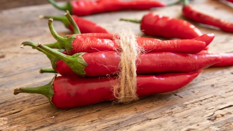 Giá ớt hôm nay 28/03/2025 mới nhất