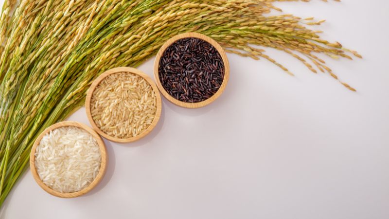 Giá gạo xuất khẩu
