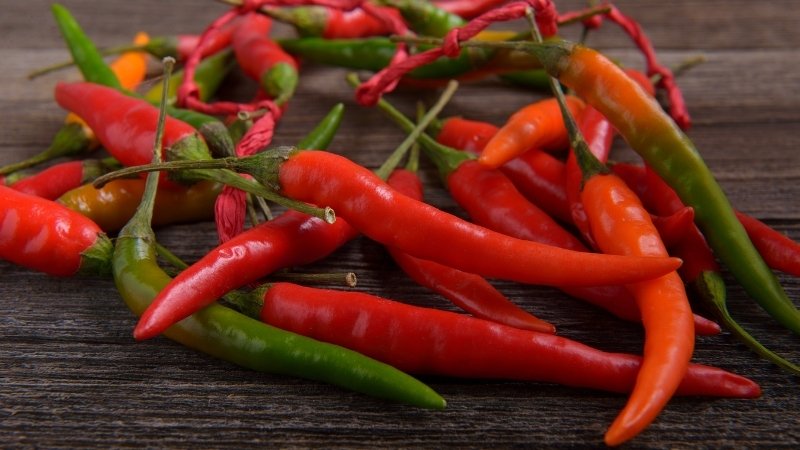 Giá ớt hôm nay 31/03/2025 mới nhất