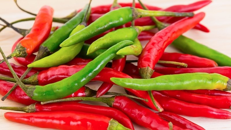 Dự báo và nhận định