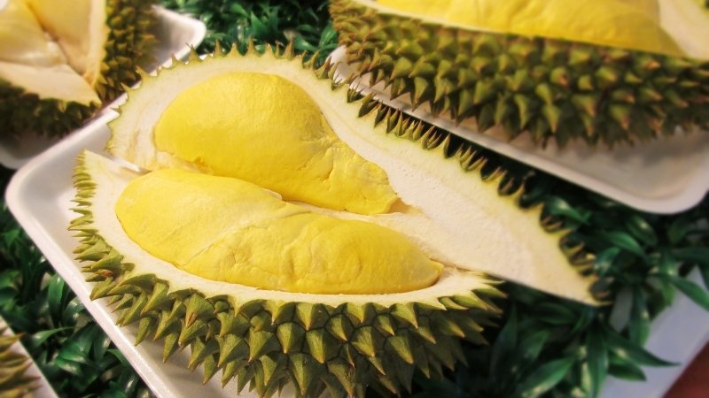 Tình hình thị trường quốc tế Tình hình thị trường quốc tế