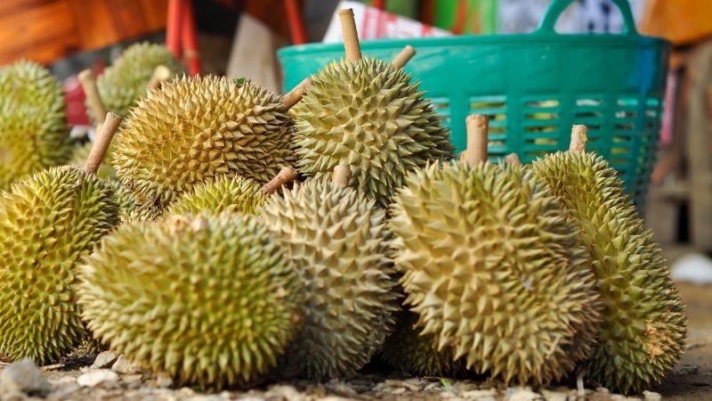 Dự báo và nhận định Dự báo và nhận định