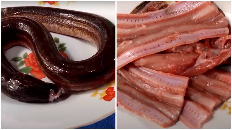 Sơ chế lươn