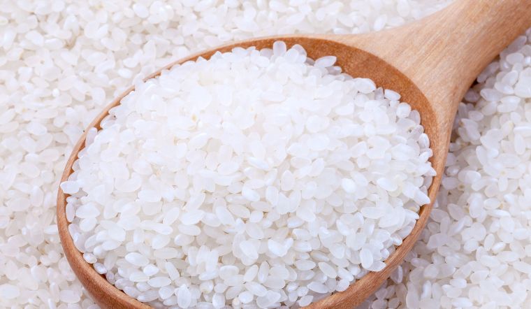Giá lúa gạo hôm nay 1/4/2025: Vài giống lúa tăng nhẹ
