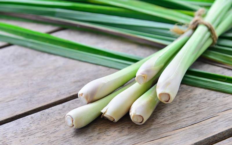 Luộc cá lóc với sả