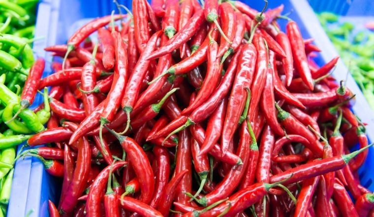 Giá ớt hôm nay 02/04/2025: Giảm thêm 2.000 đồng/kg ở vài nơi